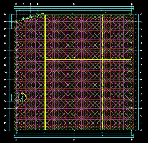 张家口东营金岭化工大王煤棚网架